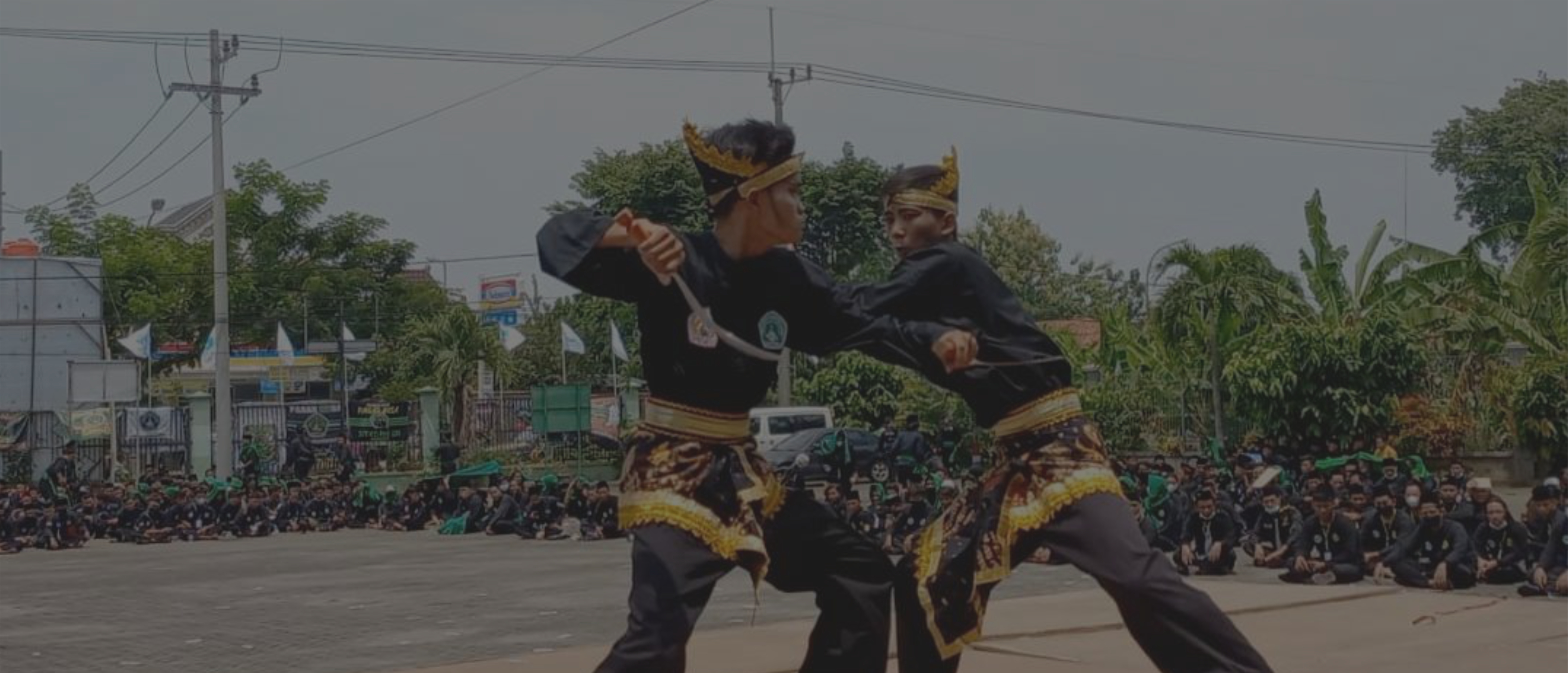 Pencak Silat